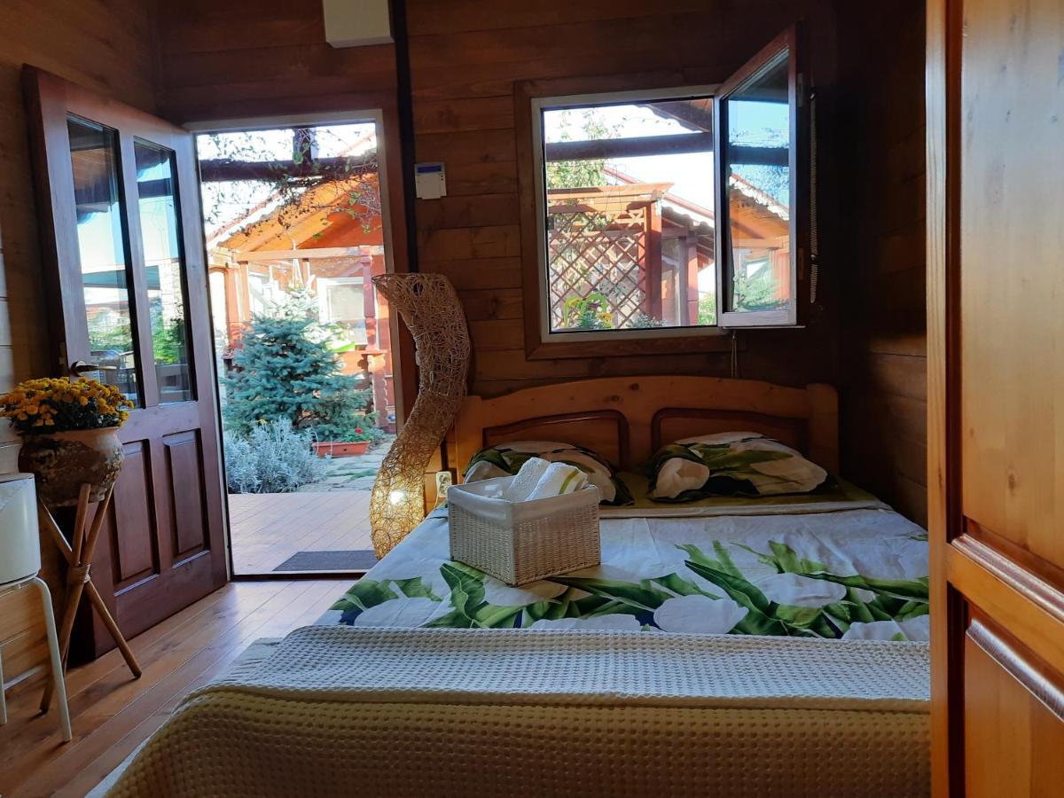 Cabane De Lemn 科斯蒂内什蒂 外观 照片