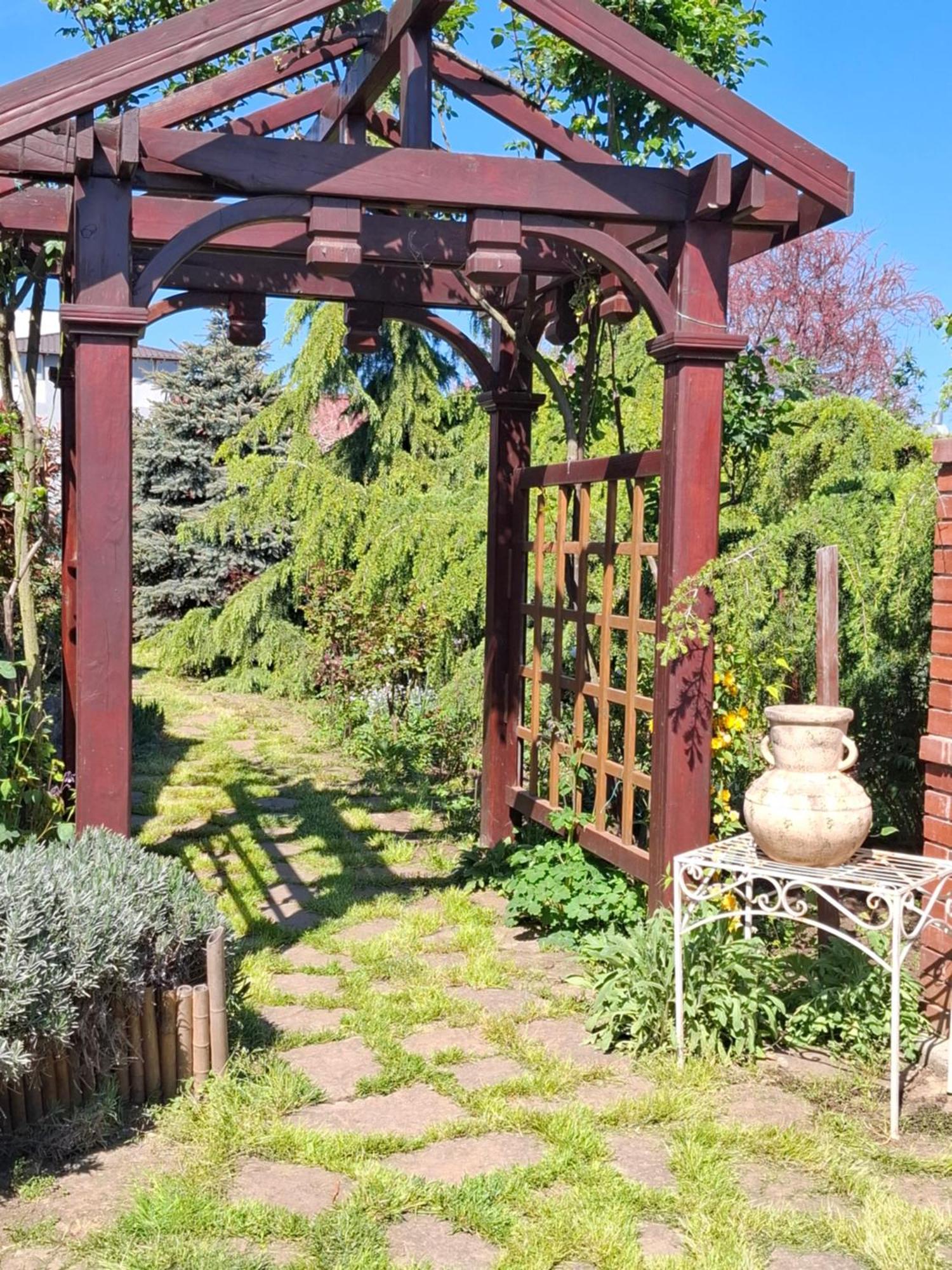 Cabane De Lemn 科斯蒂内什蒂 外观 照片