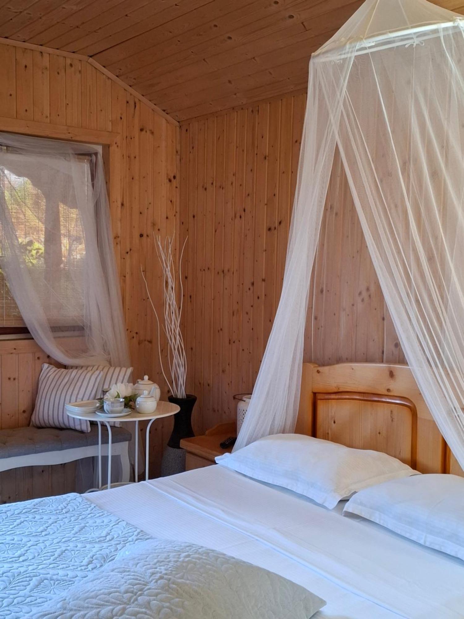 Cabane De Lemn 科斯蒂内什蒂 外观 照片