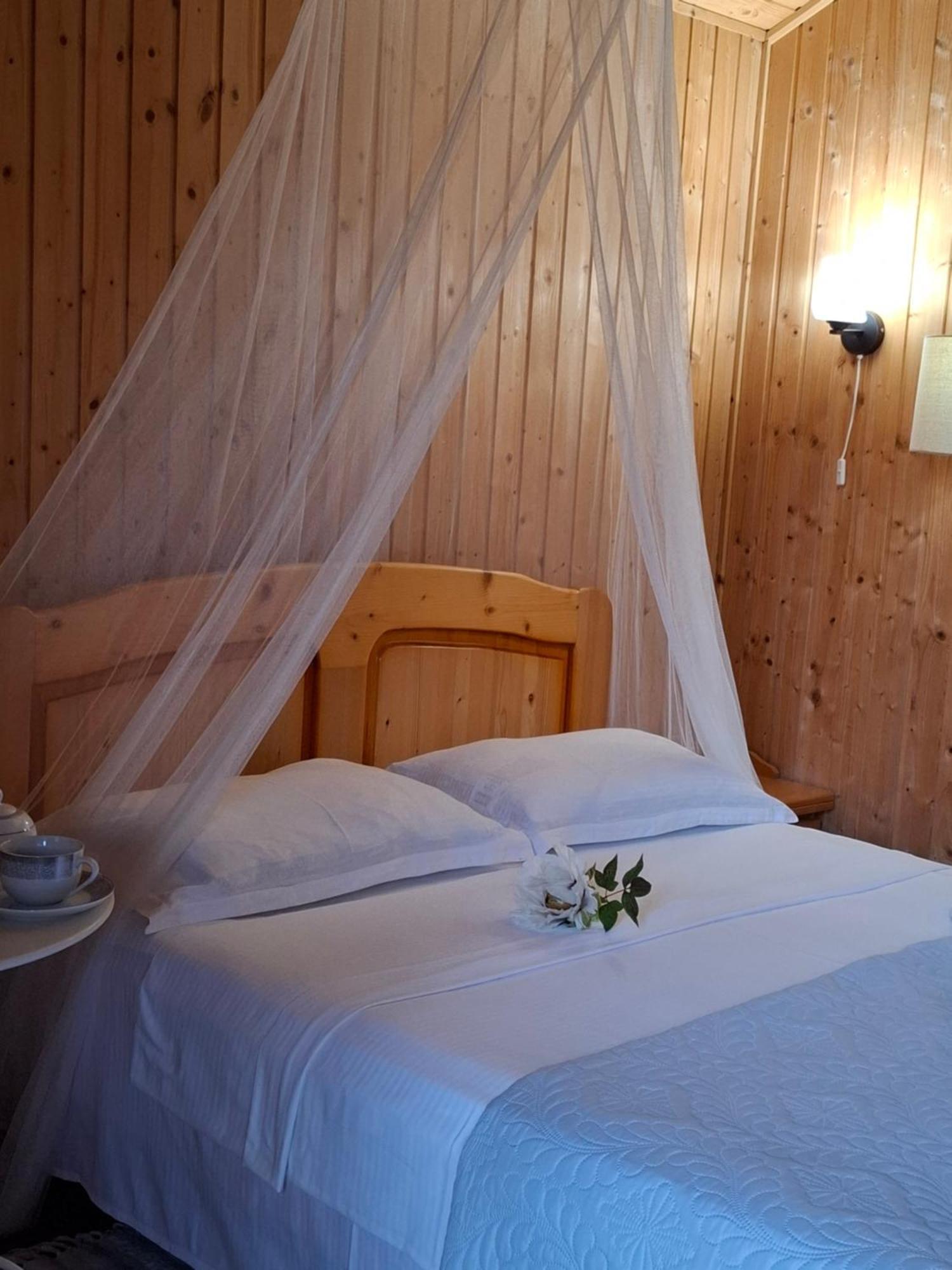 Cabane De Lemn 科斯蒂内什蒂 外观 照片