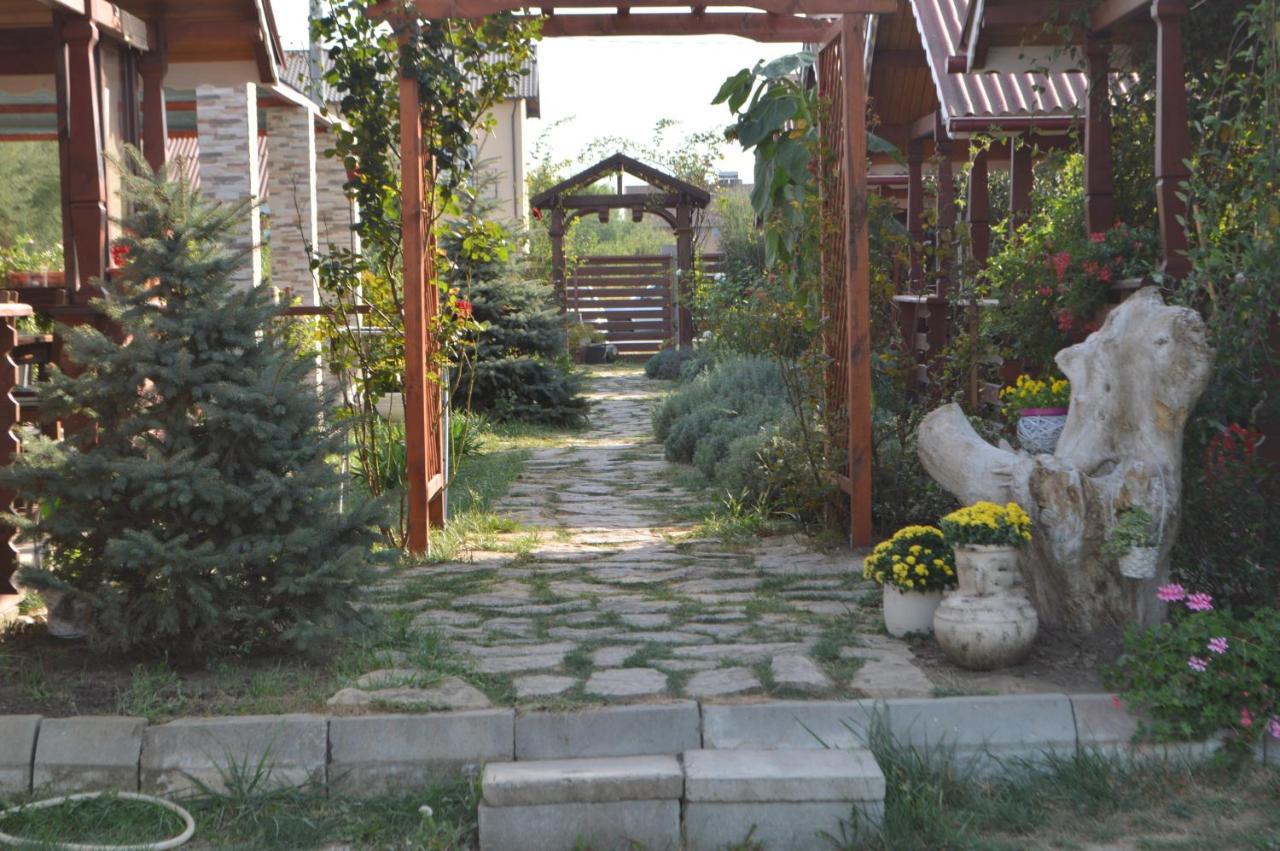 Cabane De Lemn 科斯蒂内什蒂 外观 照片