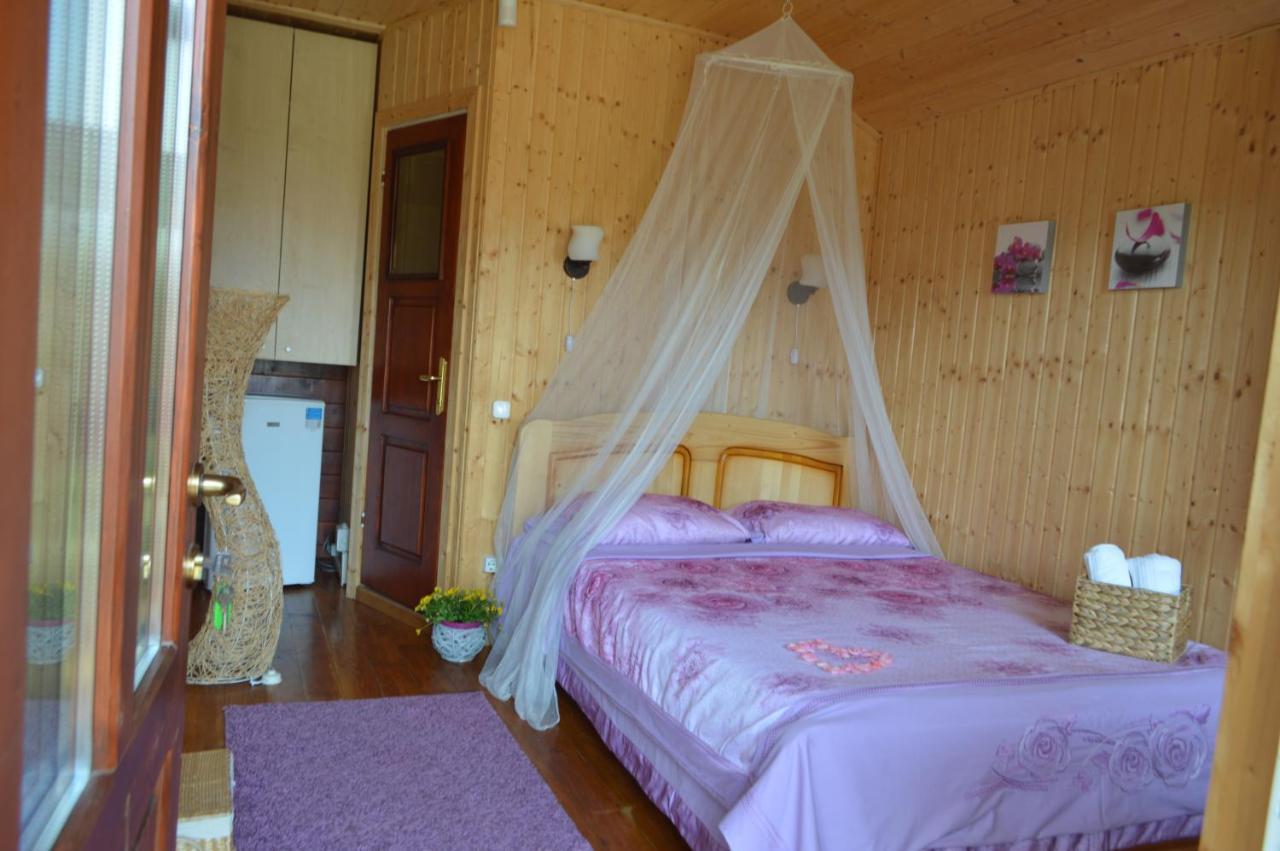 Cabane De Lemn 科斯蒂内什蒂 外观 照片
