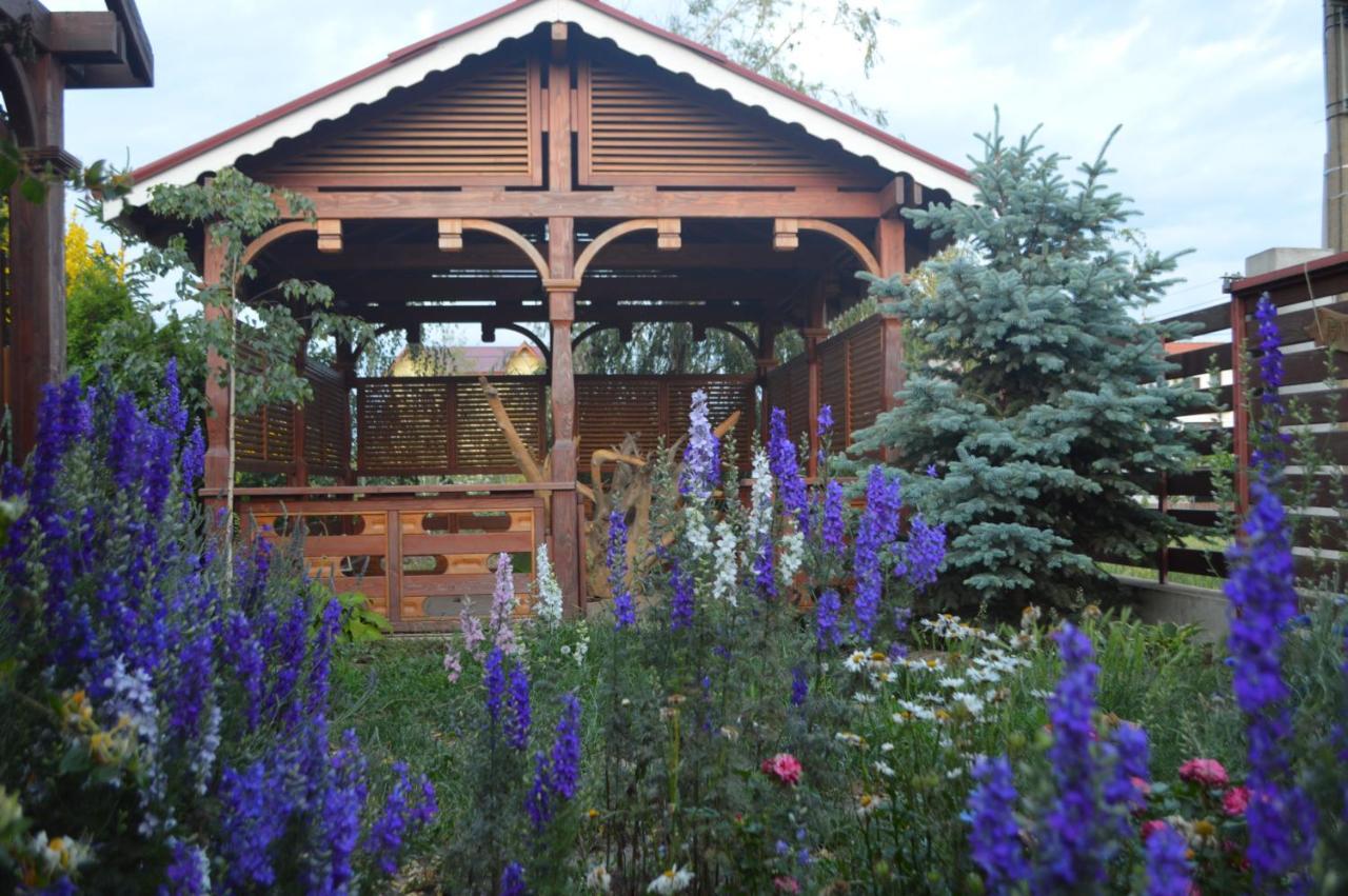 Cabane De Lemn 科斯蒂内什蒂 外观 照片