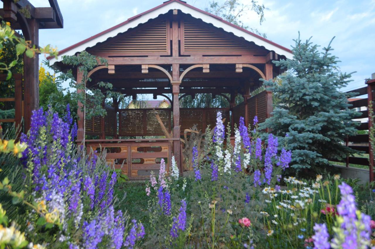 Cabane De Lemn 科斯蒂内什蒂 外观 照片