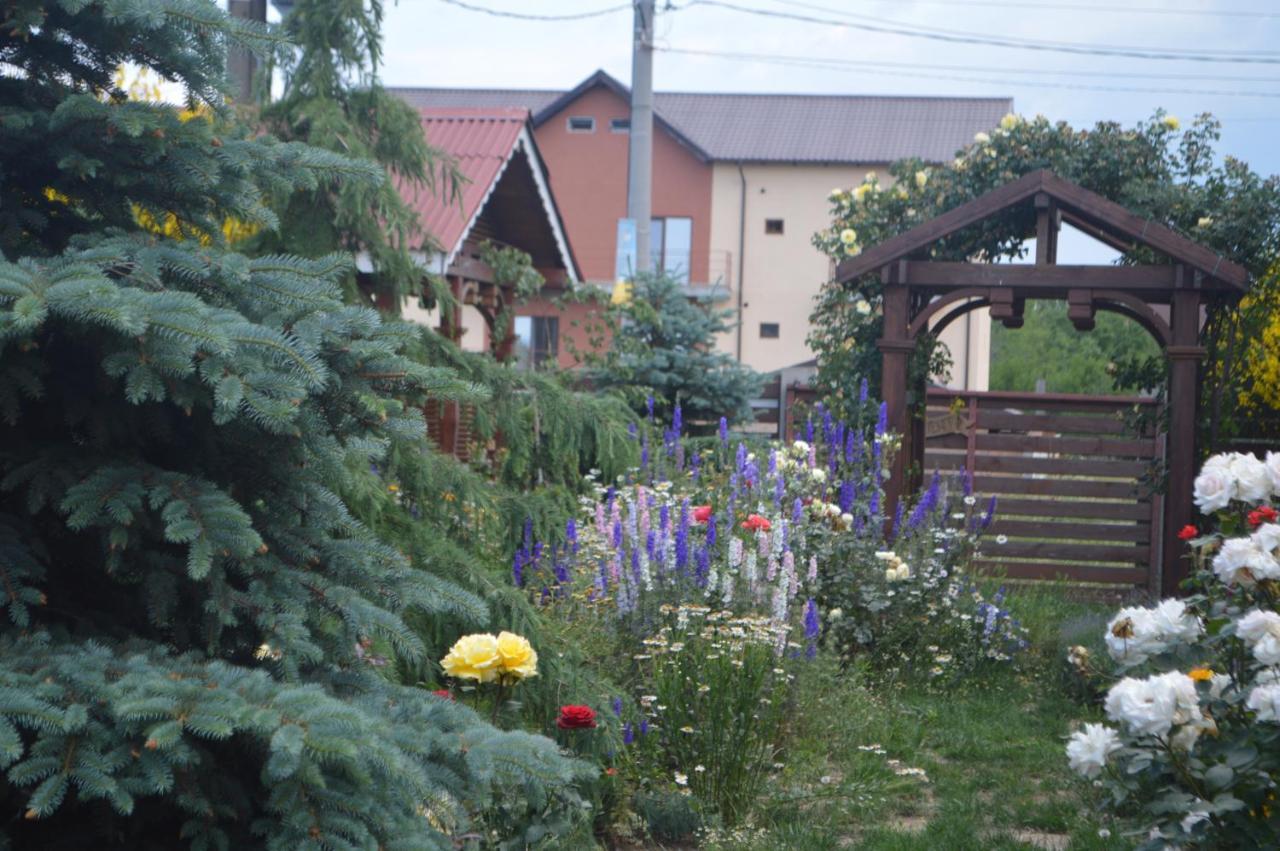 Cabane De Lemn 科斯蒂内什蒂 外观 照片