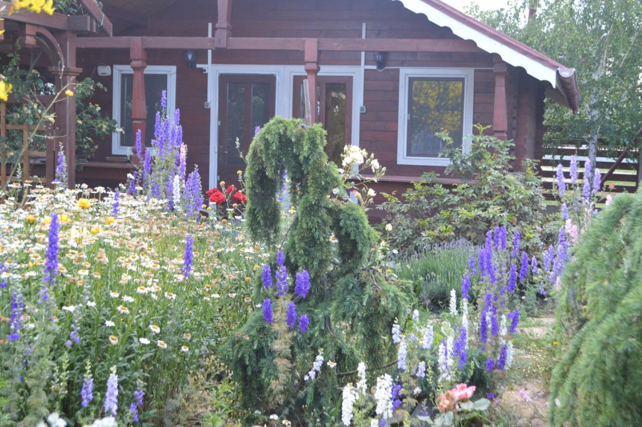 Cabane De Lemn 科斯蒂内什蒂 外观 照片
